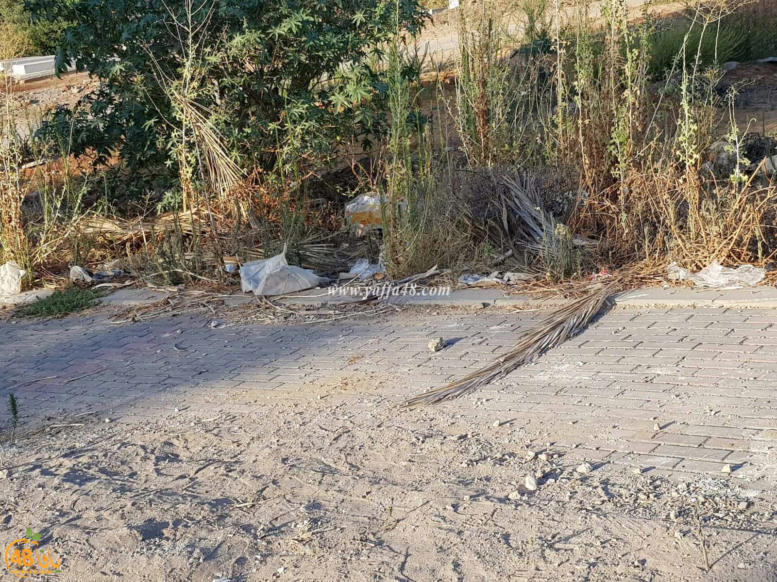 ramla maqbaraja (11).jpg